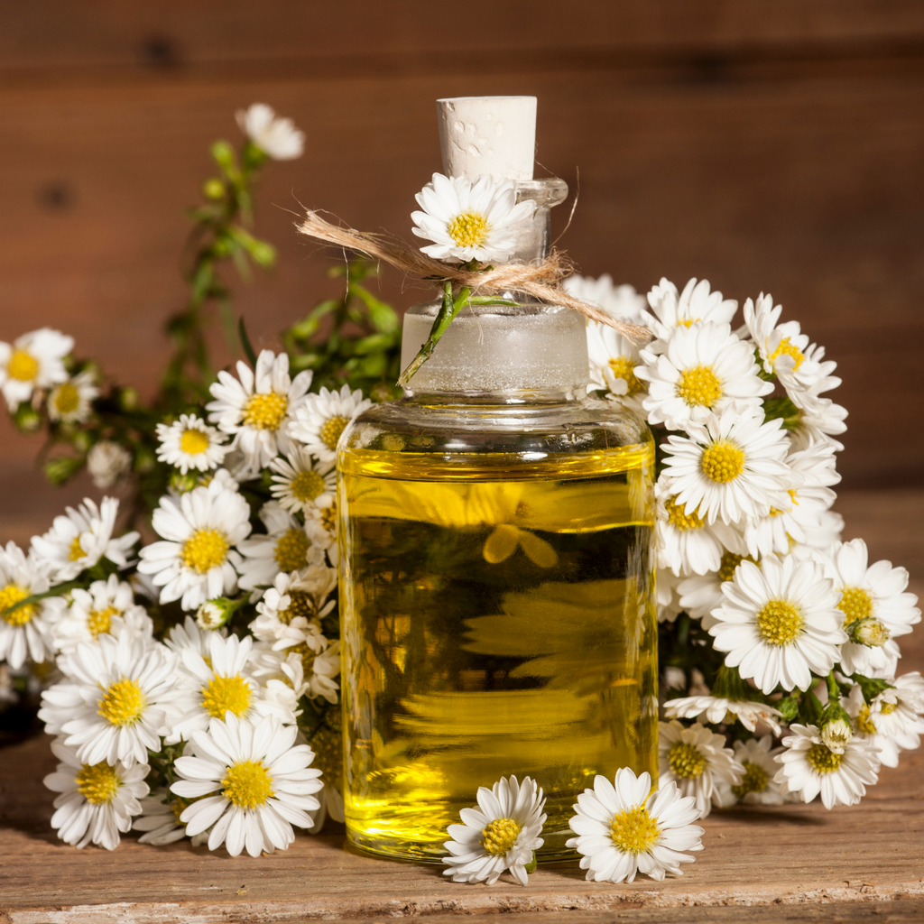 Chamomile Essential Oil